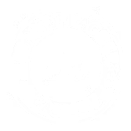 Le Naufrageur
